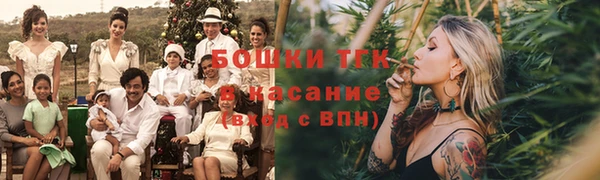 кокс Ельня